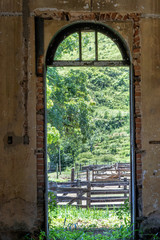 old wooden door in stone wall