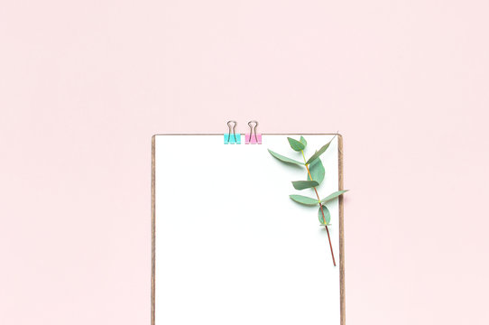 Flat lay clipboard with blank paper, green eucalyptus branches on pastel pink background. Top view female office workspace minimal mock up template concept, copy space. Feminine floral desktop