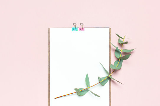 Flat lay clipboard with blank paper, green eucalyptus branches on pastel pink background. Top view female office workspace minimal mock up template concept, copy space. Feminine floral desktop