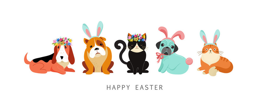 Happy Easter card, dogs and cats wearing bunny costumes, holding basket with eggs