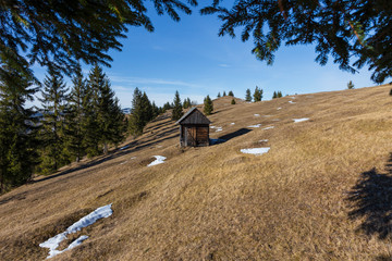 Spring Landscape in the mountains withpine trees and the wooden shepherd cottage, Carpathian mountains