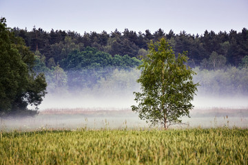 Village landscape with streaks of mist in Poland..