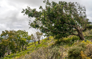 Anaga mountains in Tenerife on a cloudy day