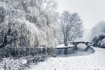 Snowy day in landscape park with bridge over water and frozen trees around it