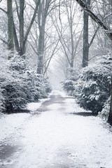 Walking path covered in snow in Wilhelminapark in Delft with trees and bushes