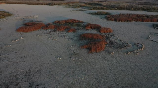 Aerial view of El Taray Lagoon, Quero, Toledo, Castilla-La Mancha, Spain, Europe