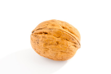 Walnut on white background