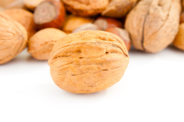Walnut close up and other nuts on white background