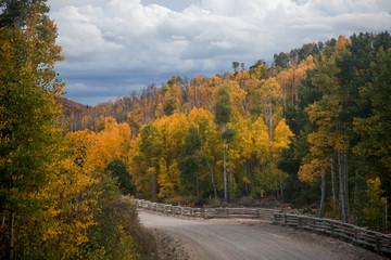 Fototapeta premium Kolob Terrace Autumn