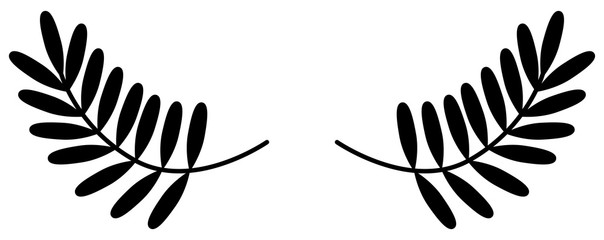 Olive / Laurel leaves branches