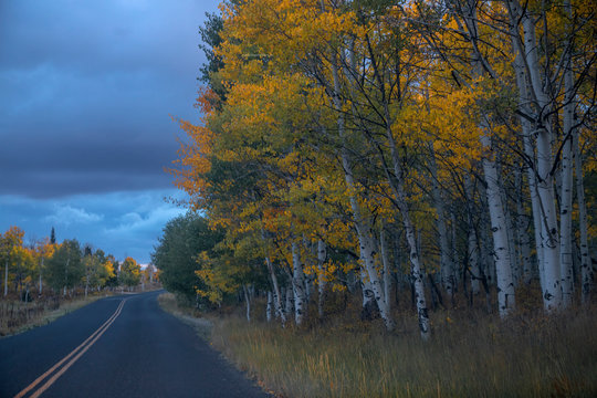 Kolob Terrace Autumn