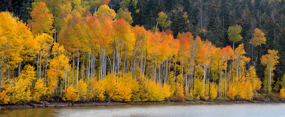 Kolob Reservoir Autumn