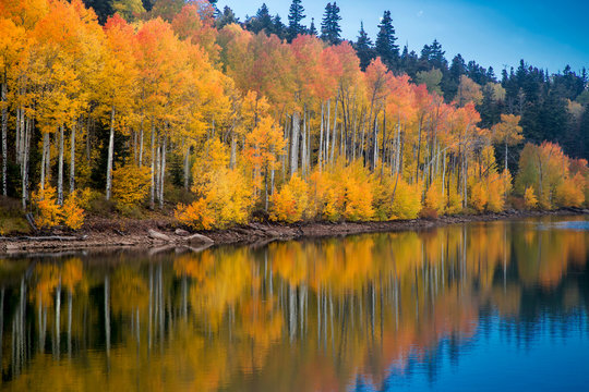 Kolob Reservoir Autumn Reflection