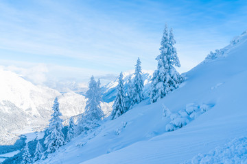 Fototapeta premium View of winter landscape with snow covered trees and Alps in Seefeld in the Austrian state of Tyrol. Winter in Austria