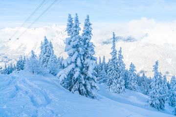 View of winter landscape with snow covered trees and Alps in Seefeld in the Austrian state of Tyrol. Winter in Austria