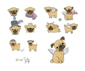 Set of little pugs. Cute animals. Vector illustrations