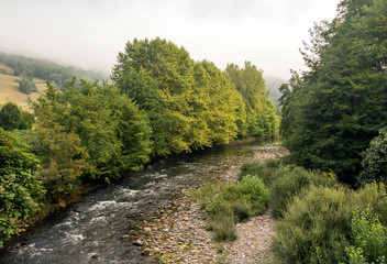 Fototapeta na wymiar River in the Pyrenees mountains in Navarre in a cloudy day