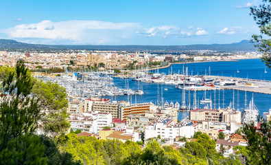 Fototapeta na wymiar Palma de Mallorca cityscape, Balearic islands, Spain