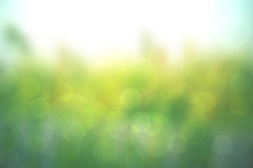 Fototapeta premium Abstract autumn gradient yellow green bright background texture with bokeh circles. Space.