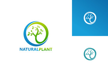 Natural Plant Logo Template Design Vector, Emblem, Design Concept, Creative Symbol, Icon