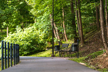 Colorful Photo of the Road in a Park, Between Woods - with the Chain Fence on the Side of it and Blurred Park Benches in the Background with Space for Text, Sunny Autumn Day