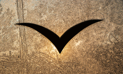 Vogelsilhouette auf vereister Glasscheibe