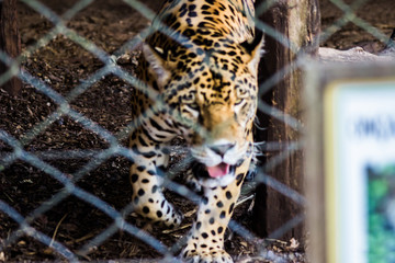zoo city bauru © Rogerio Gama - Foto