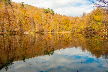 autumn at lake