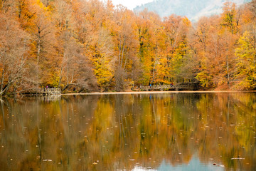 autumn at lake