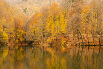 autumn at lake