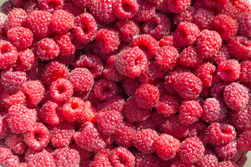 Background from fresh ripe red raspberry berries. Close-up, top view. Flat lay.