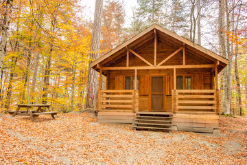 Landscape view of a home in the fall with all the colorful foliage