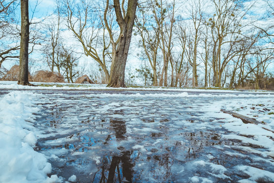 Melting Snow. Puddle On The Road. City Park