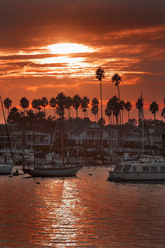 Newport Sunset