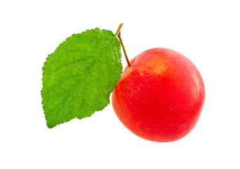 Plum. Sweet red plum with leaves isolated.