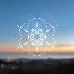 Vector template; Spiritual sacred geometry; Abstract geometric shape based on ancient symbol - "flower of life" on psychedelic natural photographic background; Yoga, meditation and relax.