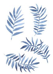 set of tropical watercolor leaves. Date palm. In blue shades.