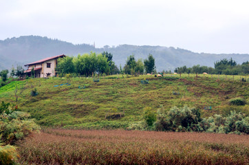 Grasslands in the Basque country on a cloudy day
