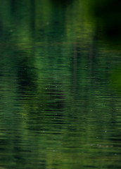Green water gloss