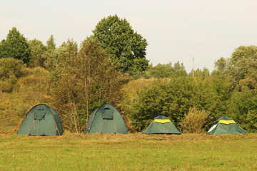 Fototapeta na wymiar In line four green camp tents on the green grass on the forest background on summer day - beautiful nature landscape, sports tourism, camping, scouting
