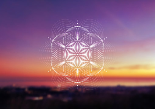 Vector template; Spiritual sacred geometry; Abstract geometric shape based on ancient symbol - "flower of life" on psychedelic natural photographic background; Yoga, meditation and relax.