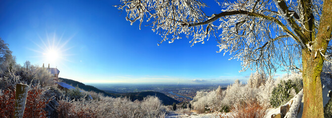 Landschaft mit Panorama-Ausblick auf Heidelberg im Winter