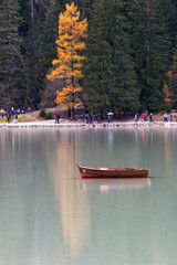 la barca e l'albero