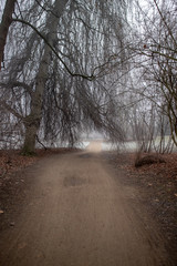  Parklandschaft in Leipzig im Winter mit frostigen nebeligen Wetter vereisten Bäumen