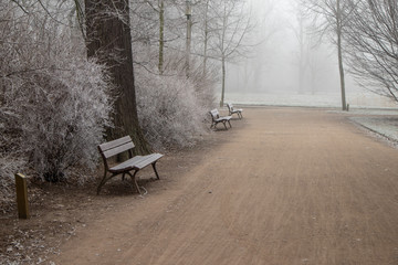 Fototapeta na wymiar Parklandschaft in Leipzig im Winter mit frostigen nebeligen Wetter vereisten Bäumen