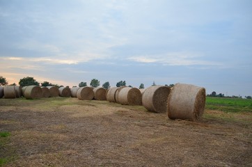 round bales of hay