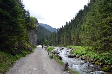 road in the mountains