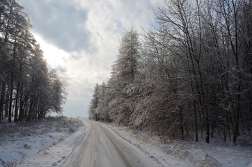 Obraz na płótnie Canvas snowy road in winter forest