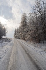Fototapeta na wymiar snowy road in winter forest