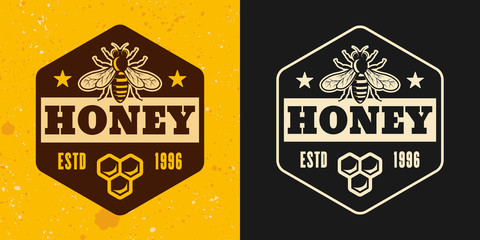 Obraz premium Honey and honeybee two styles vector emblem